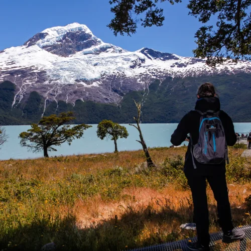 Tous les Glaciers