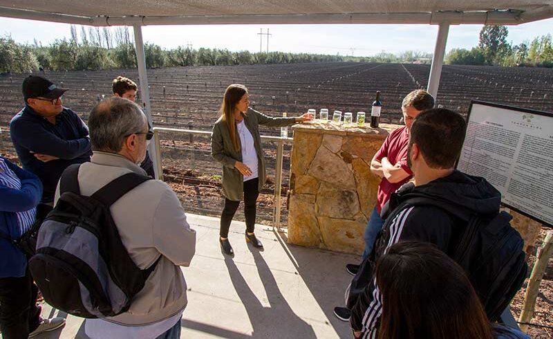 Mendoza-vino-y-oliva-Bodega-Tempus-Alba