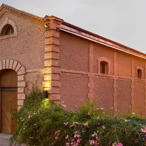 Vins et Saveurs de Mendoza